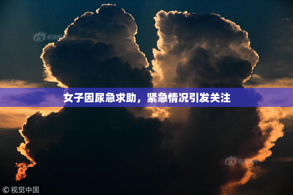 女子因尿急求助，紧急情况引发关注