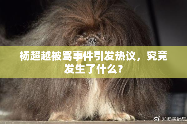 杨超越被骂事件引发热议，究竟发生了什么？