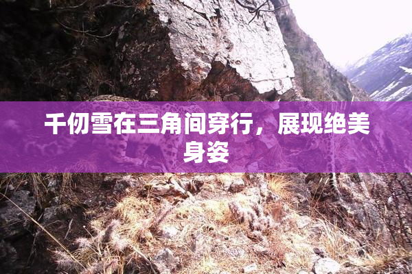 千仞雪在三角间穿行，展现绝美身姿