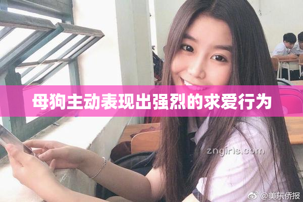 母狗主动表现出强烈的求爱行为