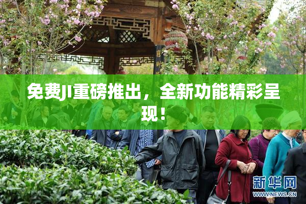 免费JI重磅推出，全新功能精彩呈现！