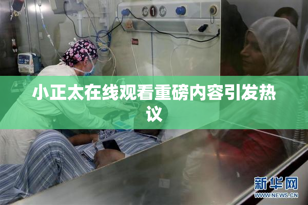 小正太在线观看重磅内容引发热议