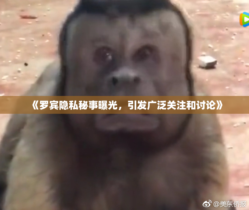《罗宾隐私秘事曝光，引发广泛关注和讨论》
