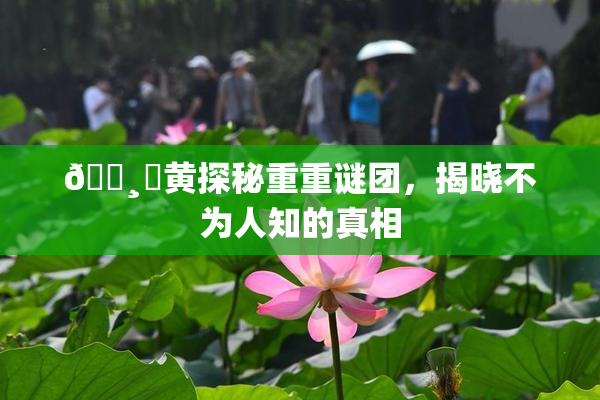 🌸‌黄探秘重重谜团，揭晓不为人知的真相