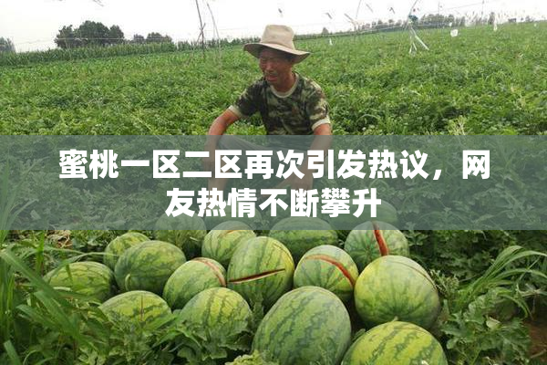 蜜桃一区二区再次引发热议，网友热情不断攀升