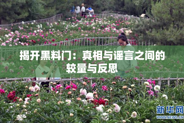 揭开黑料门：真相与谣言之间的较量与反思