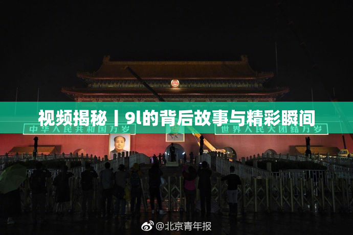 视频揭秘丨9l的背后故事与精彩瞬间