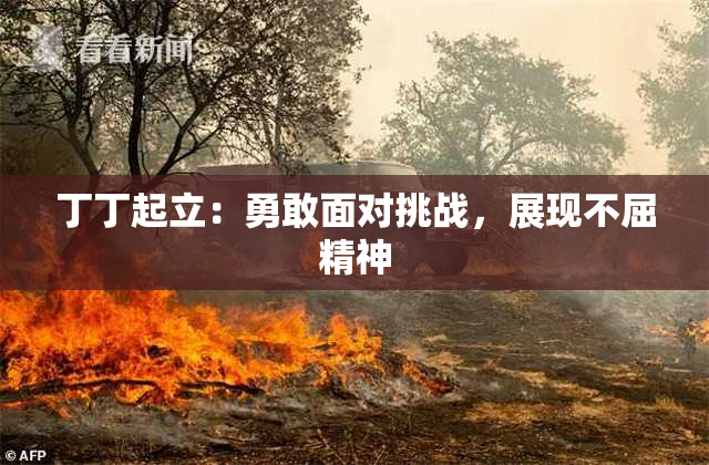 丁丁起立：勇敢面对挑战，展现不屈精神