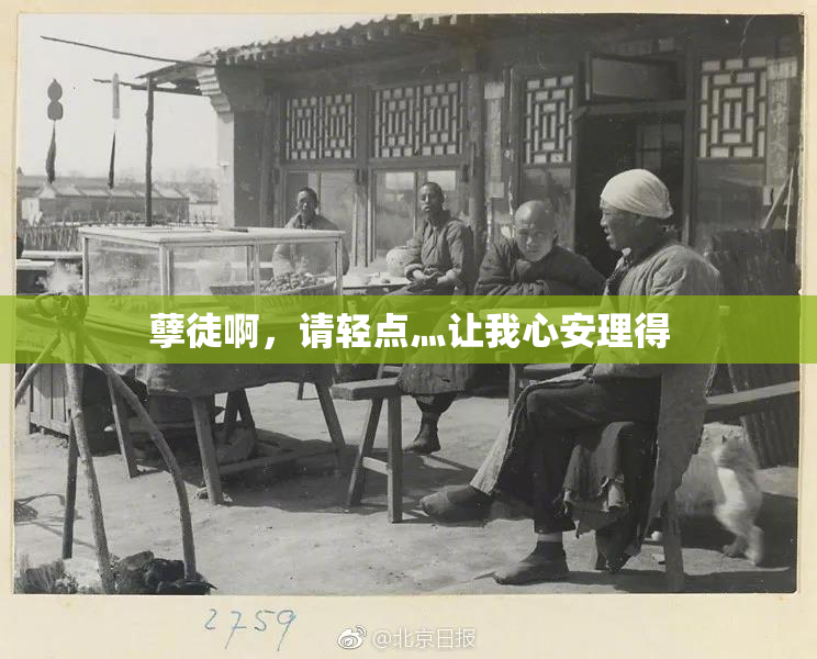 孽徒啊，请轻点灬让我心安理得