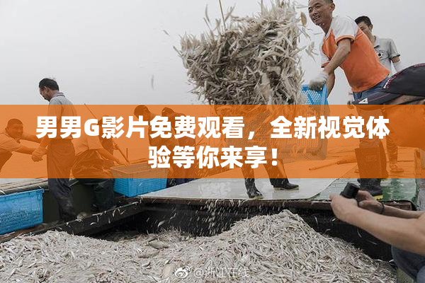 男男G影片免费观看，全新视觉体验等你来享！