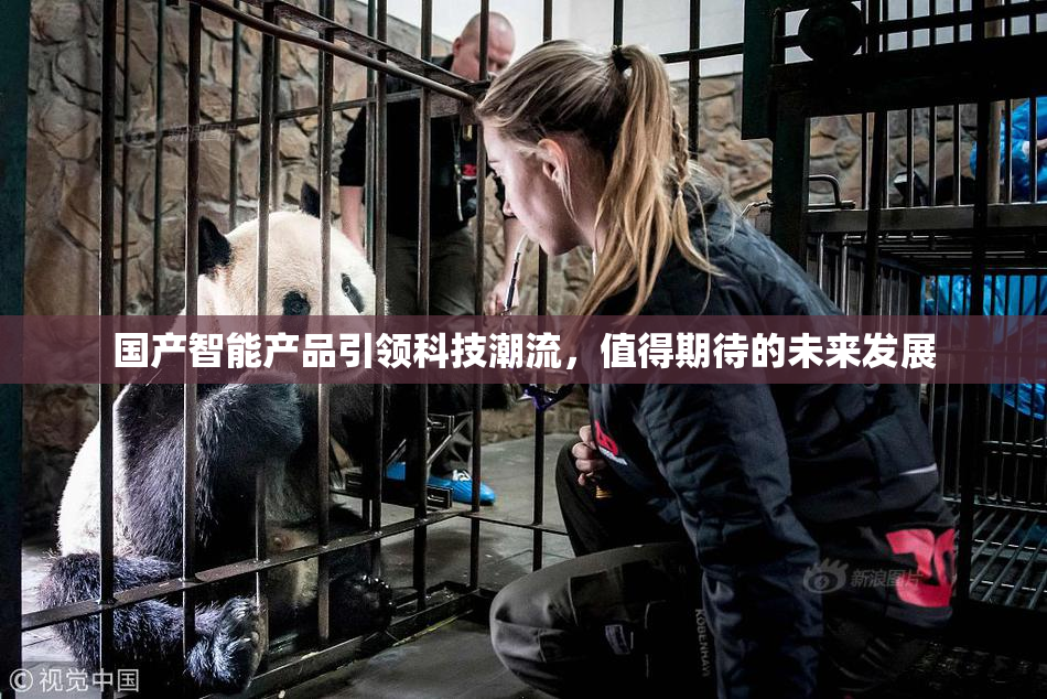国产智能产品引领科技潮流，值得期待的未来发展