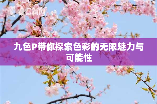 九色P带你探索色彩的无限魅力与可能性