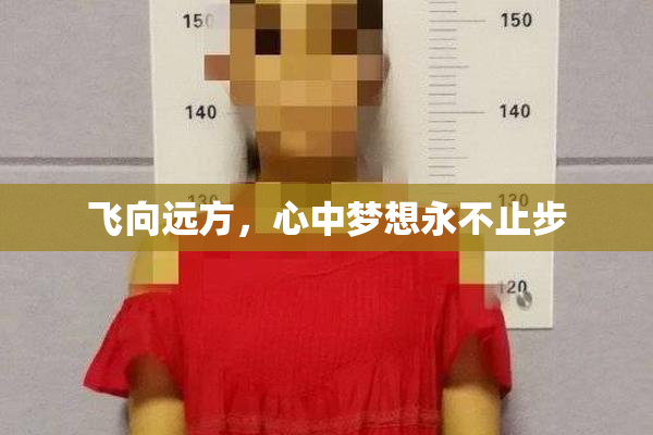 飞向远方，心中梦想永不止步