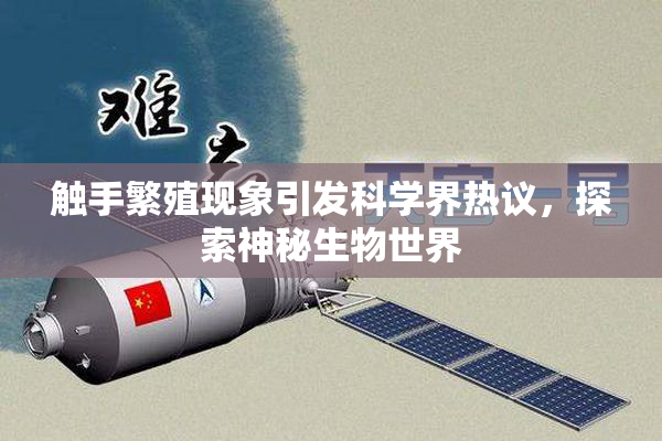 触手繁殖现象引发科学界热议，探索神秘生物世界