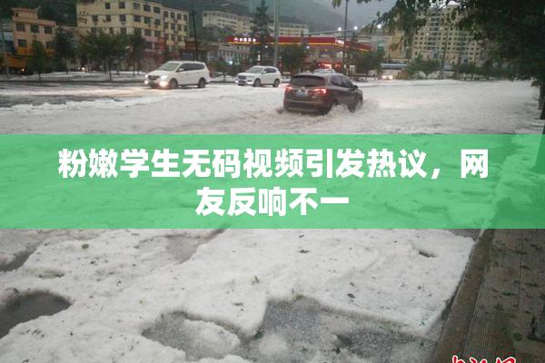 粉嫩学生无码视频引发热议，网友反响不一
