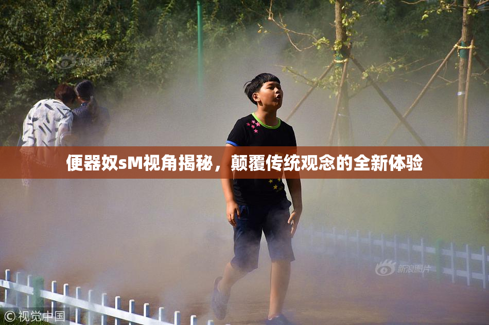 便器奴sM视角揭秘，颠覆传统观念的全新体验