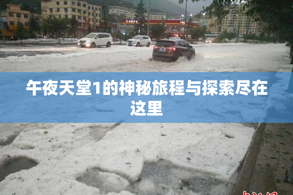 午夜天堂1的神秘旅程与探索尽在这里