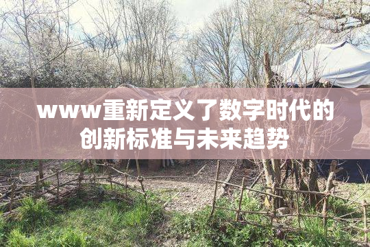 www重新定义了数字时代的创新标准与未来趋势