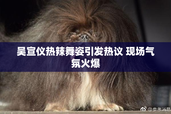吴宣仪热辣舞姿引发热议 现场气氛火爆