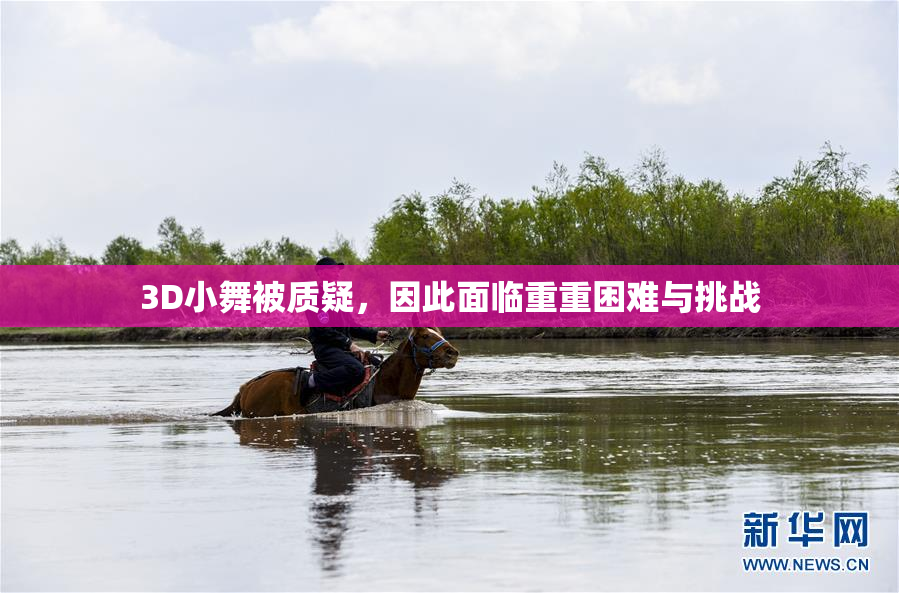 3D小舞被质疑，因此面临重重困难与挑战