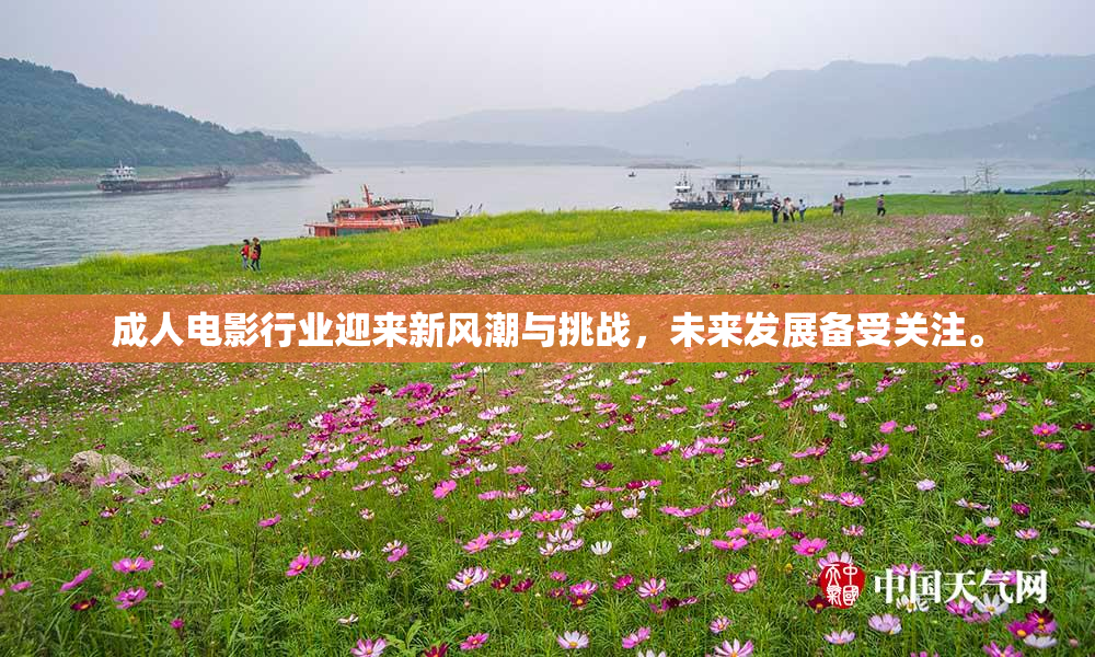 成人电影行业迎来新风潮与挑战，未来发展备受关注。