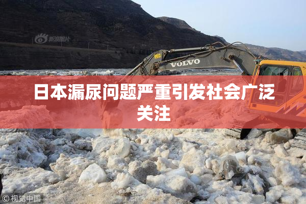 日本漏尿问题严重引发社会广泛关注