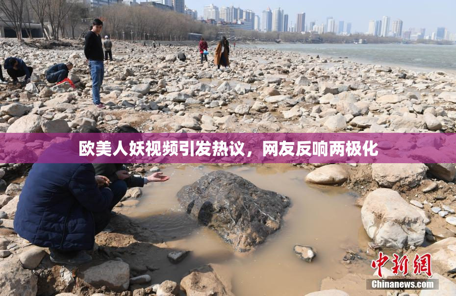 欧美人妖视频引发热议，网友反响两极化