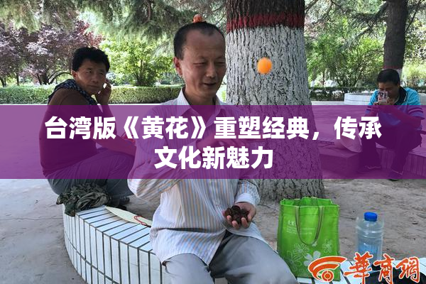 台湾版《黄花》重塑经典，传承文化新魅力