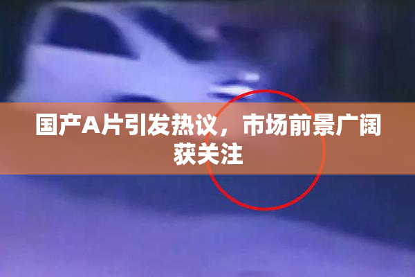 国产A片引发热议，市场前景广阔获关注
