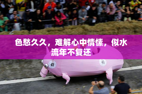 色愁久久，难解心中情愫，似水流年不复还