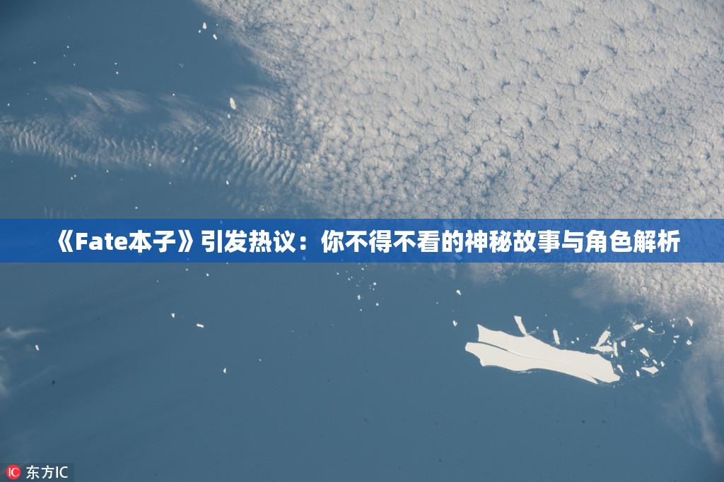 《Fate本子》引发热议：你不得不看的神秘故事与角色解析