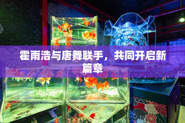 霍雨浩与唐舞联手，共同开启新篇章