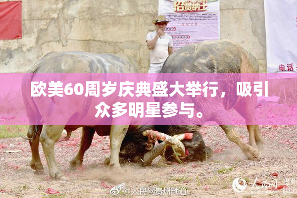 欧美60周岁庆典盛大举行，吸引众多明星参与。