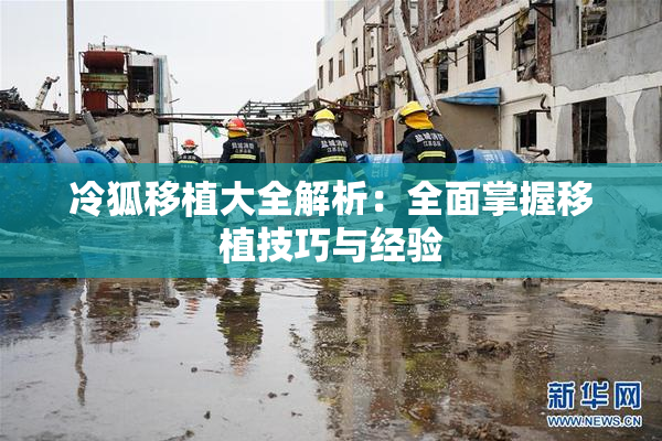 冷狐移植大全解析：全面掌握移植技巧与经验