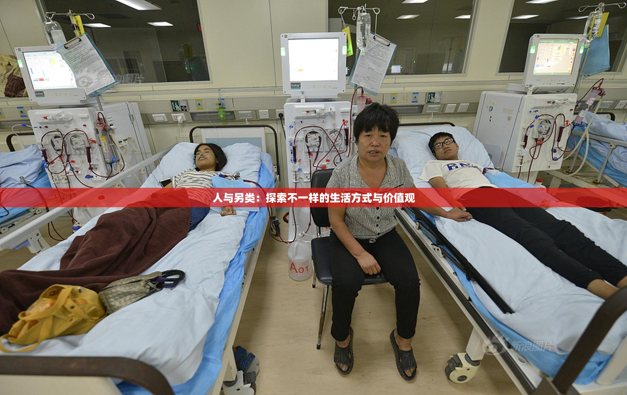 人与另类：探索不一样的生活方式与价值观