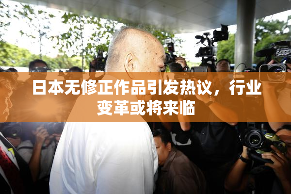 日本无修正作品引发热议，行业变革或将来临