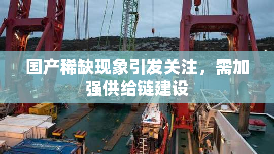 国产稀缺现象引发关注，需加强供给链建设