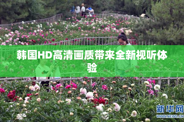 韩国HD高清画质带来全新视听体验