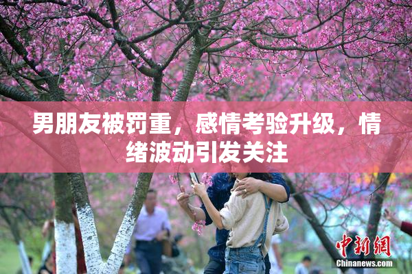 男朋友被罚重，感情考验升级，情绪波动引发关注