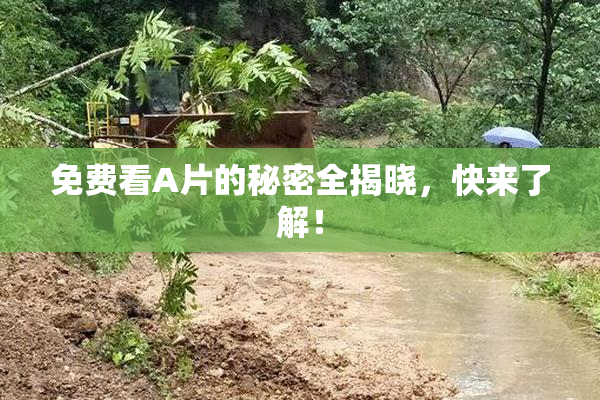 免费看A片的秘密全揭晓，快来了解！