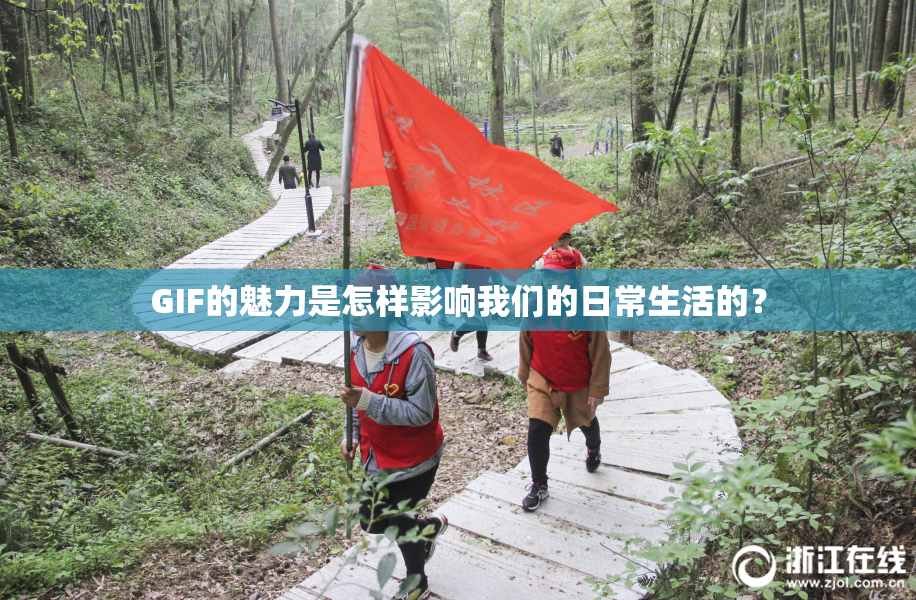 GIF的魅力是怎样影响我们的日常生活的？