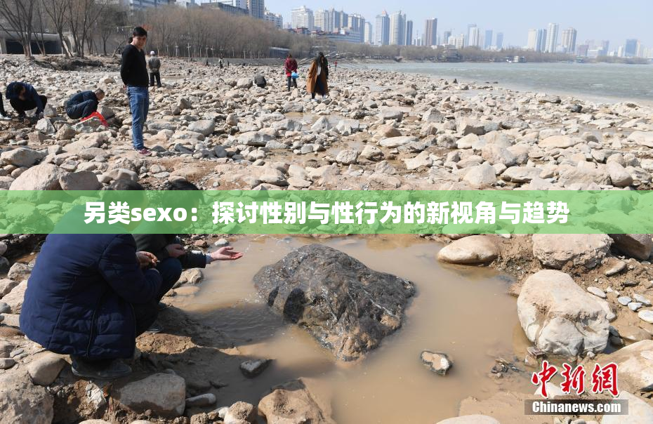 另类sexo：探讨性别与性行为的新视角与趋势