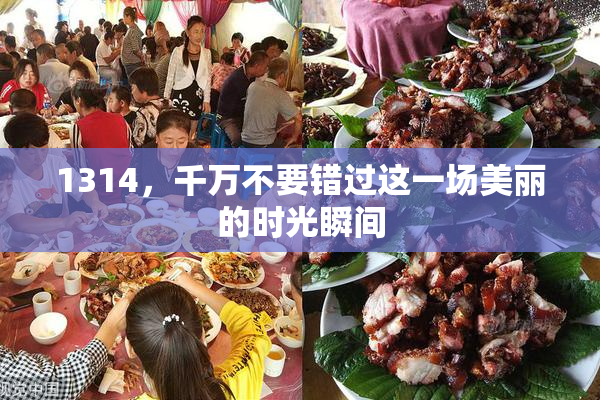 1314，千万不要错过这一场美丽的时光瞬间