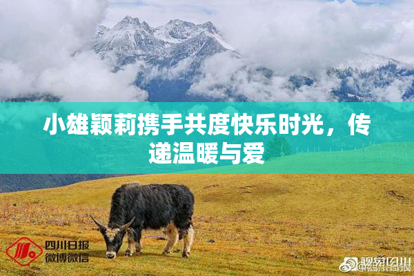 小雄颖莉携手共度快乐时光，传递温暖与爱