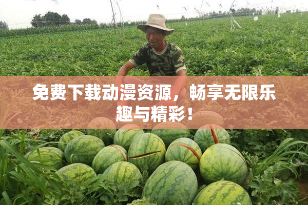 免费下载动漫资源，畅享无限乐趣与精彩！