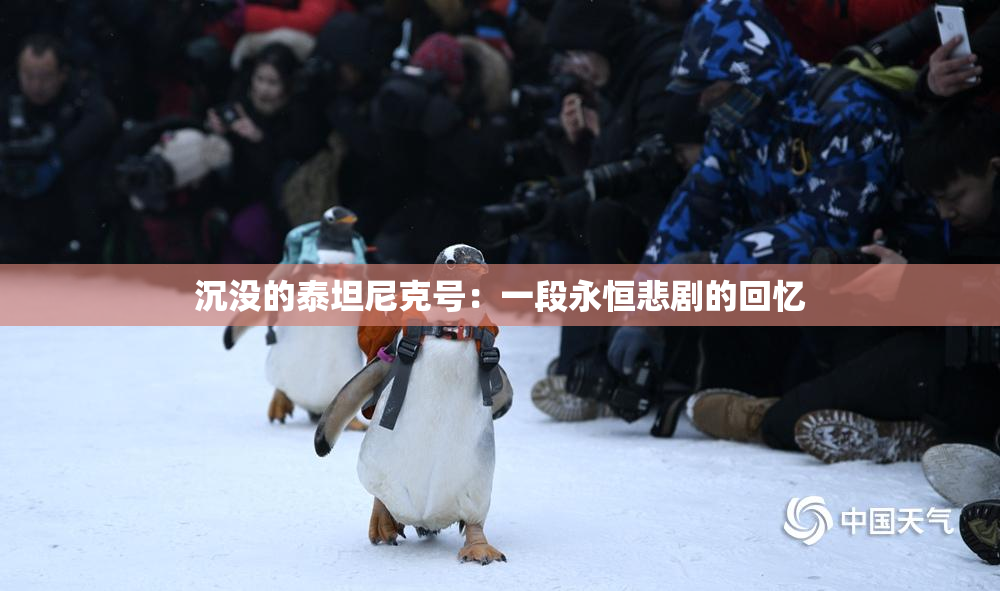 沉没的泰坦尼克号：一段永恒悲剧的回忆