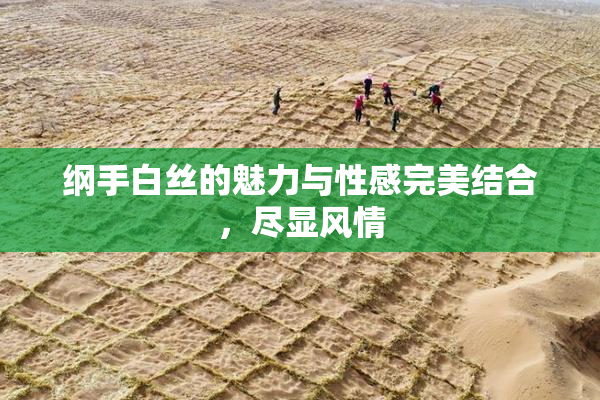 纲手白丝的魅力与性感完美结合，尽显风情