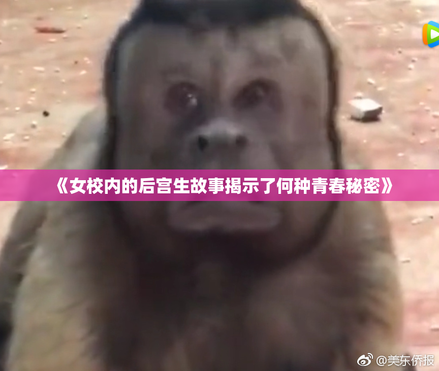 《女校内的后宫生故事揭示了何种青春秘密》
