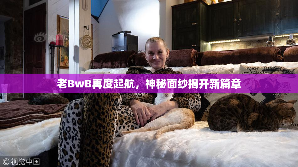 老BwB再度起航，神秘面纱揭开新篇章