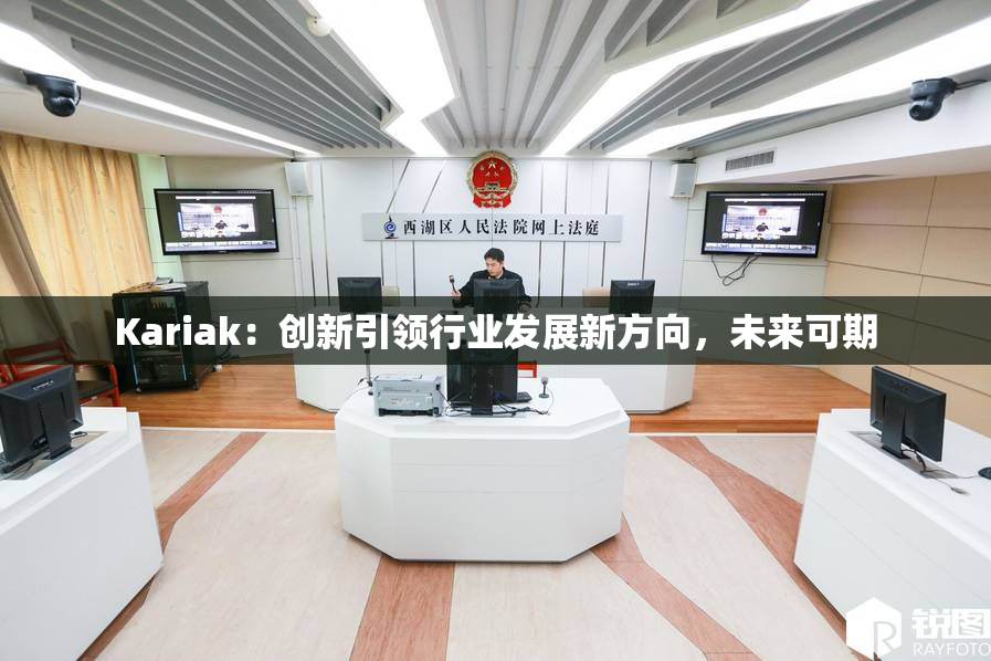 Kariak：创新引领行业发展新方向，未来可期